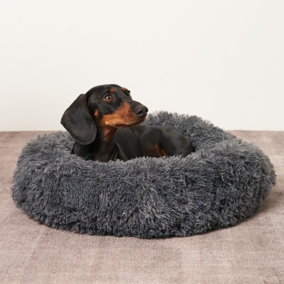 Lifestyle shot of a dachshund in a fluffy grey pet bed. By Nick van der Touw.