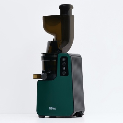 Product shot of a green Balzano slow juicer. By Nick van der Touw.